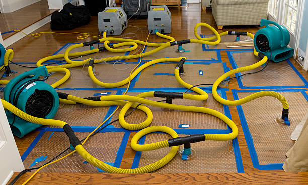 Professional Water Damage Repair technician working in Wheeler, WI